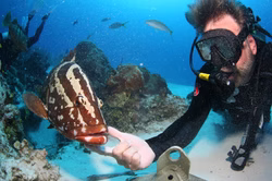 271463523_4845089398884715_3363833142309397635_n